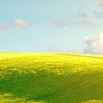 Headerb